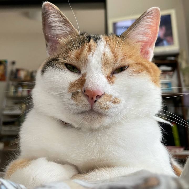 61ebd4eb e372 4860 bc1b b001a951b5b9 1627862821386