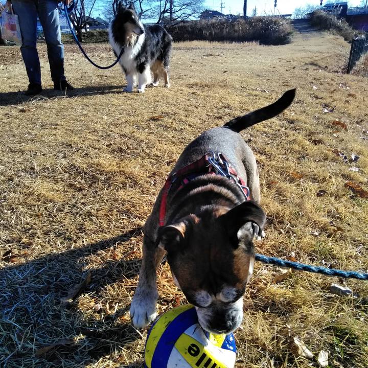 61ec4acb 609f 4e7f 860e 8025c5badc1d 1546615010617