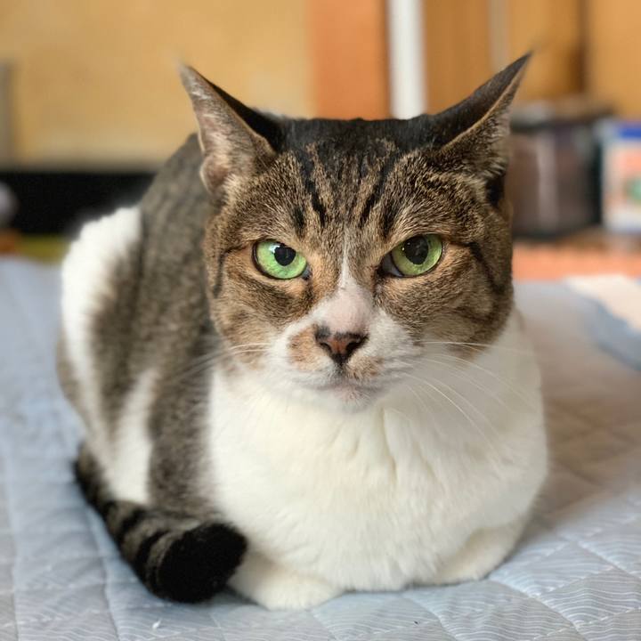 61ecc730 1c6a 4e5f a082 6932735bb8ae 1602205813296