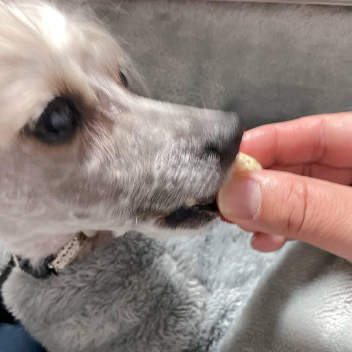 61ecef08 8378 4839 805e a0c1bbe2a8dd 1766583986685