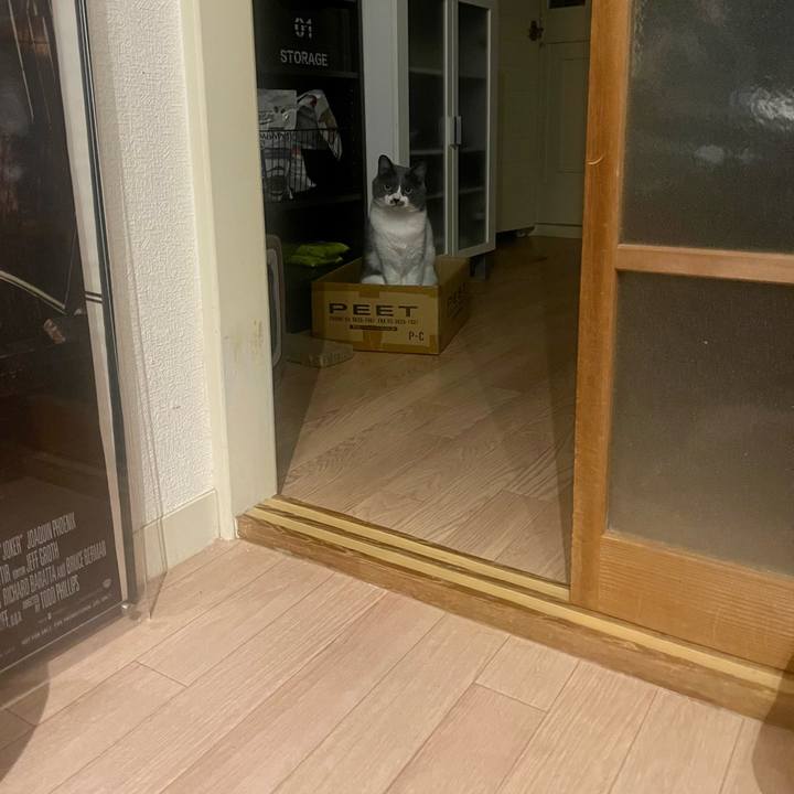 61ed0ee2 781a 4243 b31d 297cb3ae8f14 1682178311312