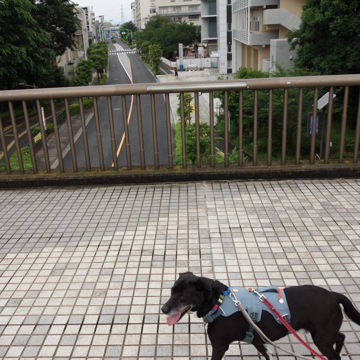 61ed1478 3481 4ffd 81c5 0e452b40553e 1719621203692