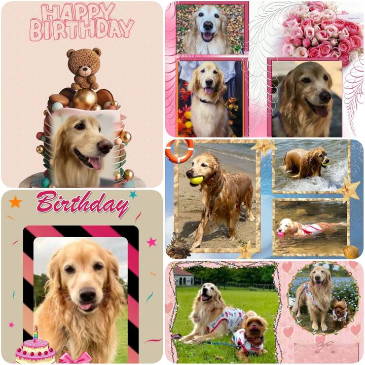 61ed46dc d2f4 460f 91f6 8ca55a46c2da 1627145015247