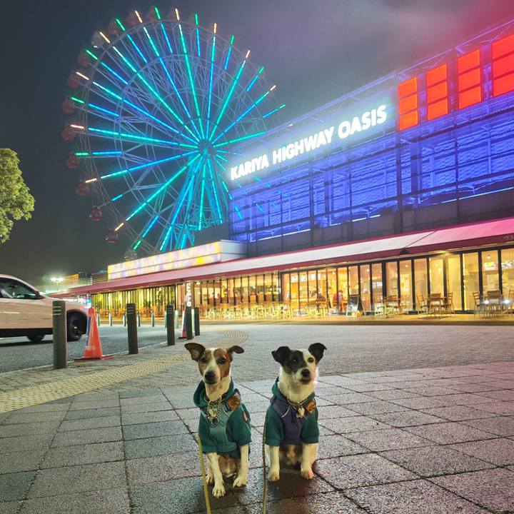 61ed5144 1935 4d8a a4a6 a988e42cd523 1742560455046