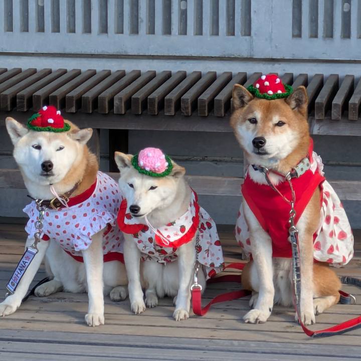 61ed5b06 fe36 43e1 a2ad 127f69b49878 1740326095561