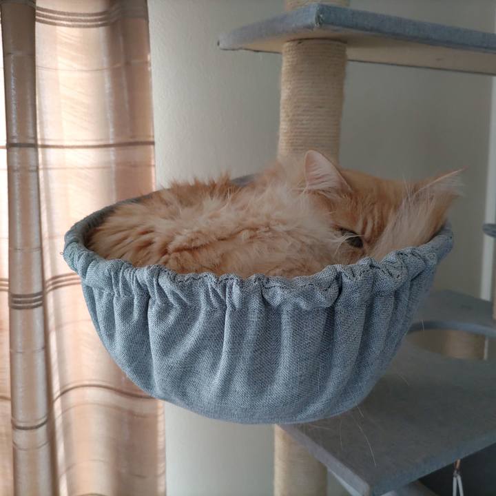 61ed7692 748e 4711 925a ccc78dbe4aa4 1703990571736