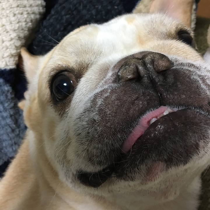 61edf6e5 5d0e 475d a374 c4694d37ffeb 1510404979933