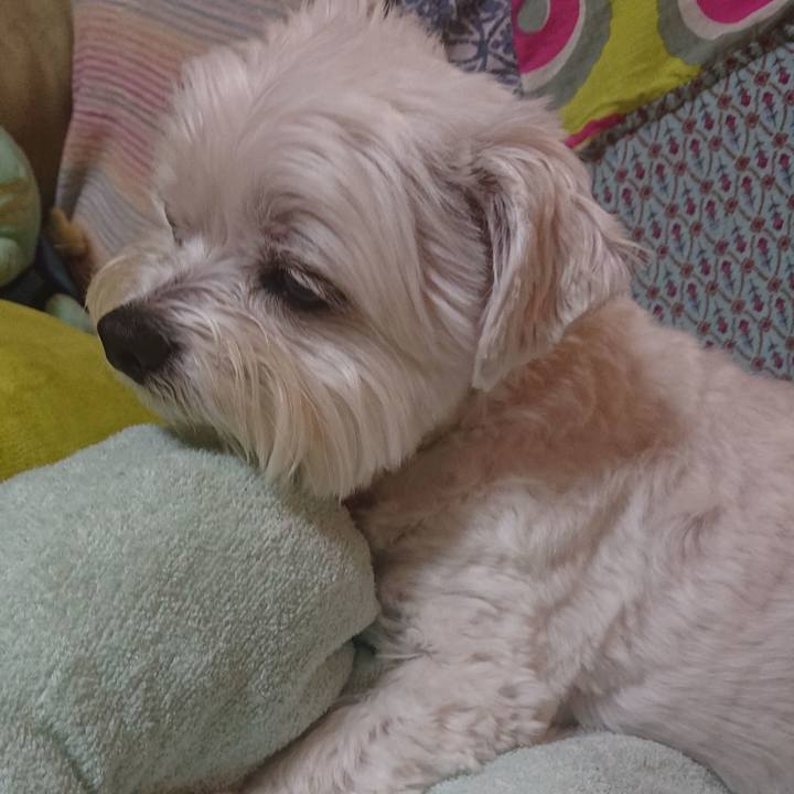 61ee6ff9 9239 4f00 863c 4e910f056e87 1617283744010