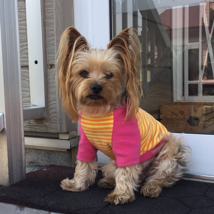 61ee9242 a9d7 445d 977a b56477763af8 1524183088420