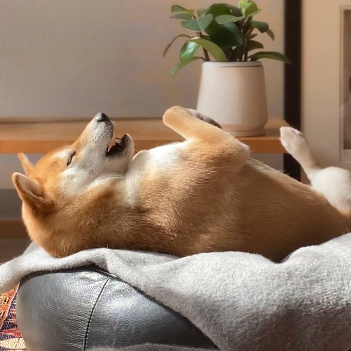 61ef07db 9d25 4b70 8d1d 33da95f37a64 1675307654203