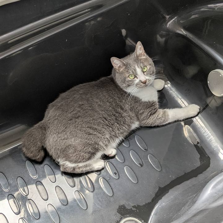 61ef4a38 7f2c 4243 b428 3ddbff05d91a 1749713766841