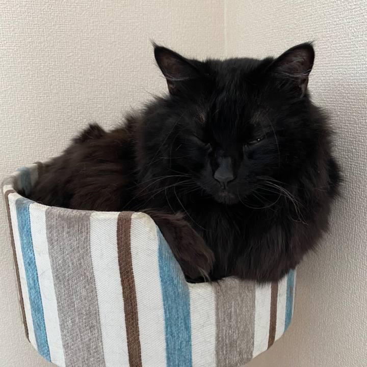 61ef54ee d3c7 4f5e 8ae5 158a33bacc86 1610677494762