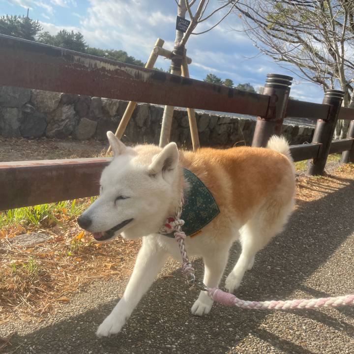 61ef88ba 400e 4e10 82d3 4faab971bb1b 1702856097221