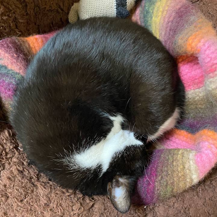 61ef9731 c458 472f ab86 42a707d2ddf8 1641210269939