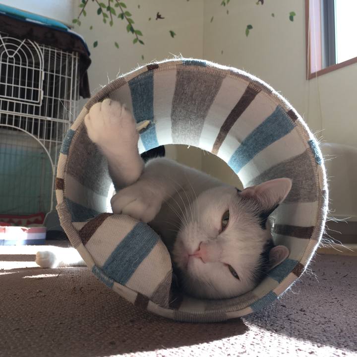 61ef9766 c43a 4bb1 adfb 4885c948fb62 1517363486128