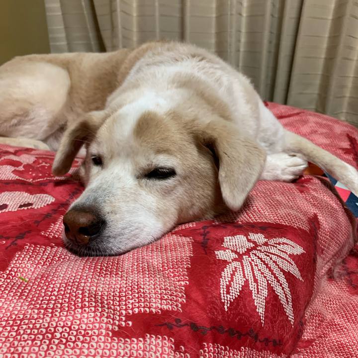 61efabb5 e82e 459a 93c4 f2ffcfea463f 1666191417264