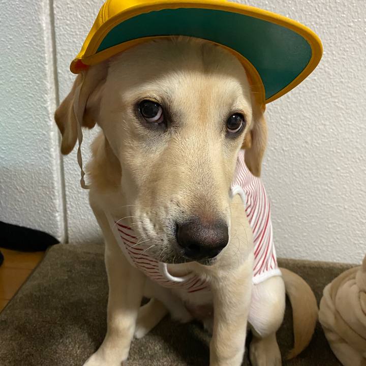 61efb0b0 f270 46d8 8d4e 5b4e01e999db 1618658882381