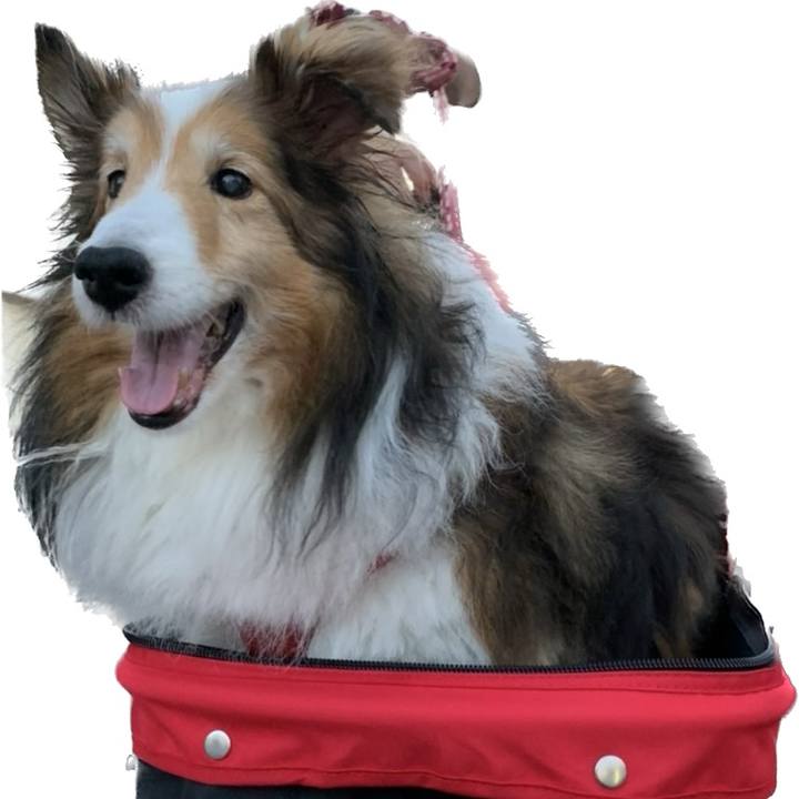 61efea11 e135 4fde 8361 3c748077682d 1690182391578