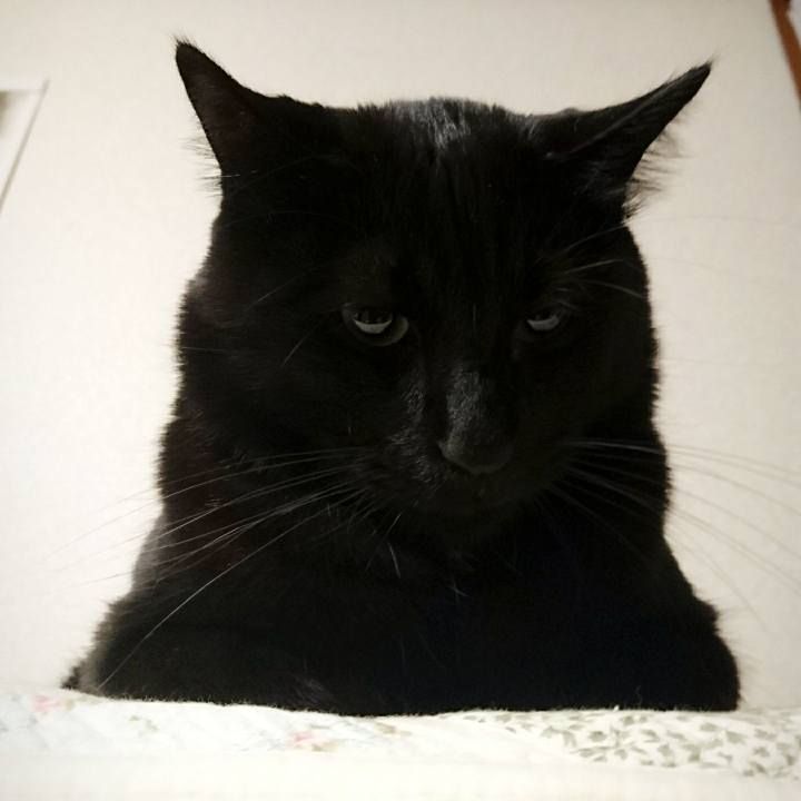 61f046bf cfd4 4514 93fa f66834369f82 1514624474667