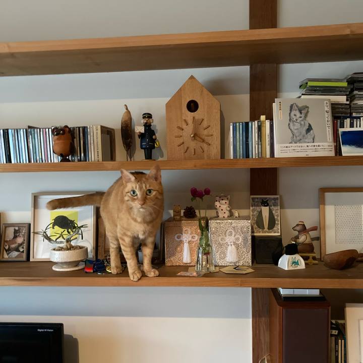 61f04c41 0f9d 4f6b b022 132bbe12b8c3 1665357588305