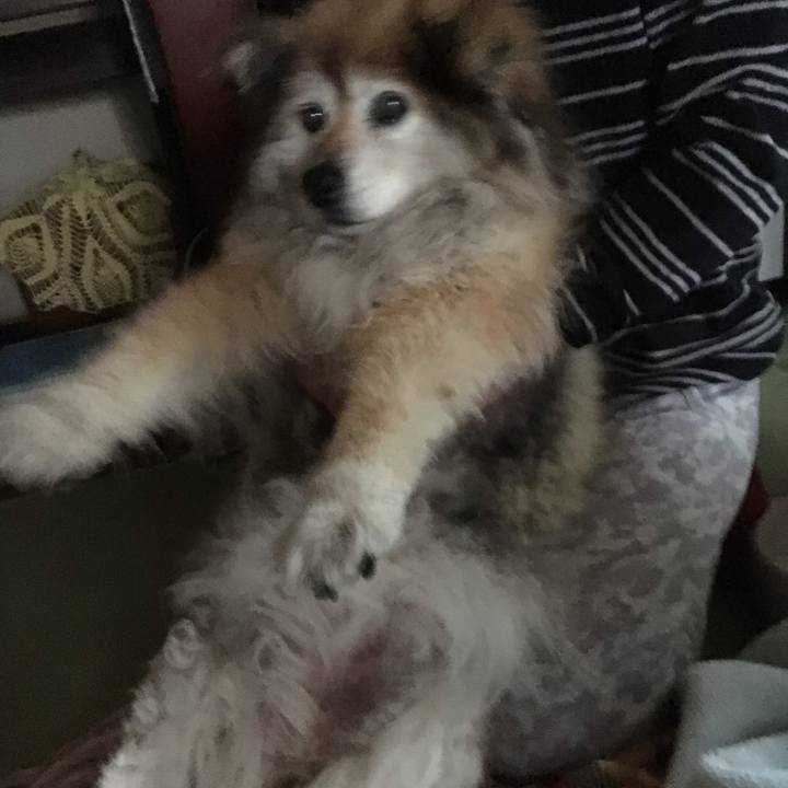 61f087df 0ce8 4d94 a616 b5d095bd13e7 1570925151624