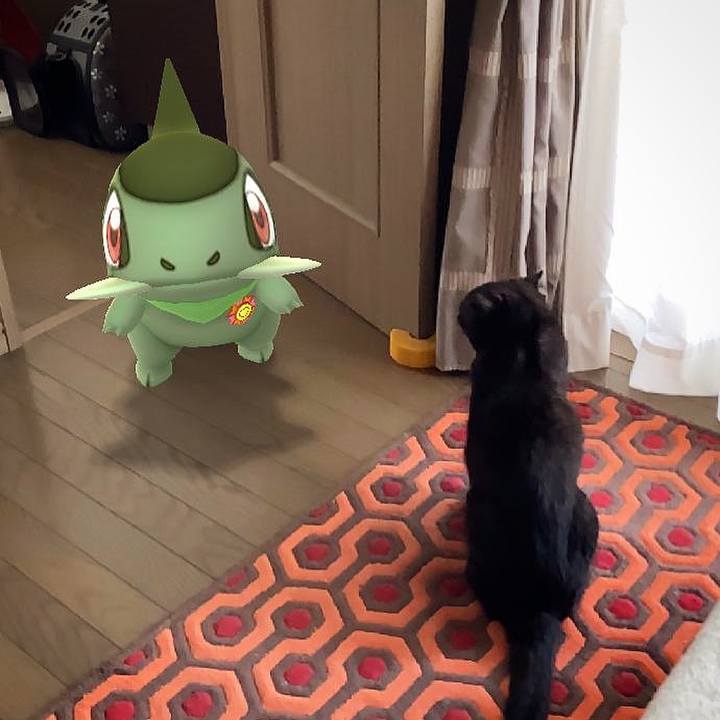 61f0b8e1 9c21 4990 96e6 ea57fec35340 1595732863471