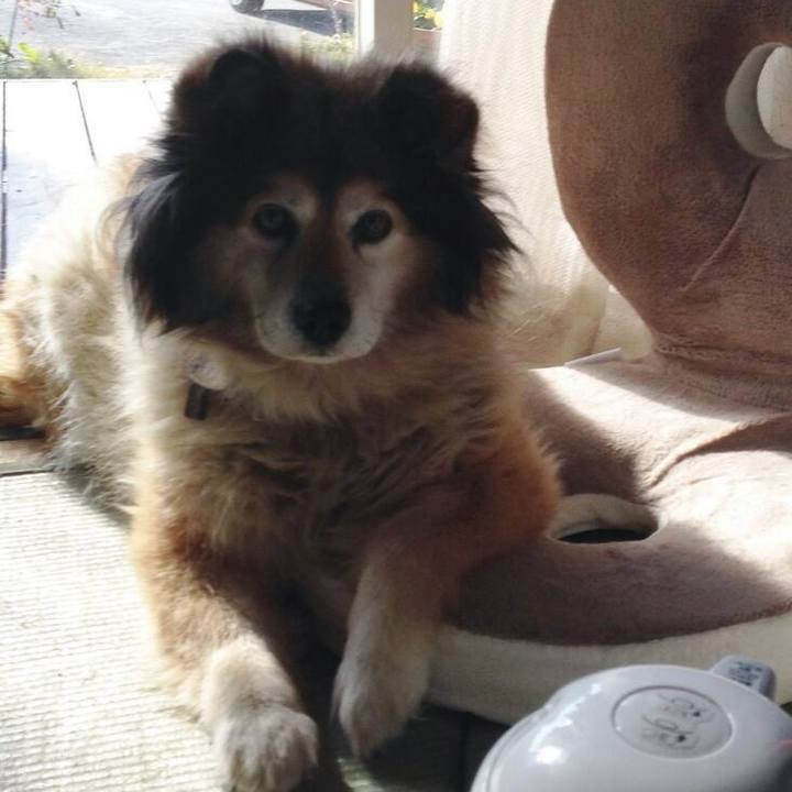 61f12aa5 1883 4107 9fac 34a37427ac98 1602981356048