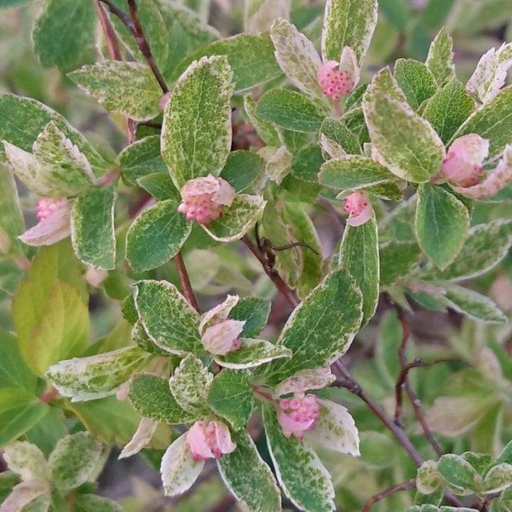 61f13a5c dbe5 4040 9143 86c1e057b36b 1522145606083