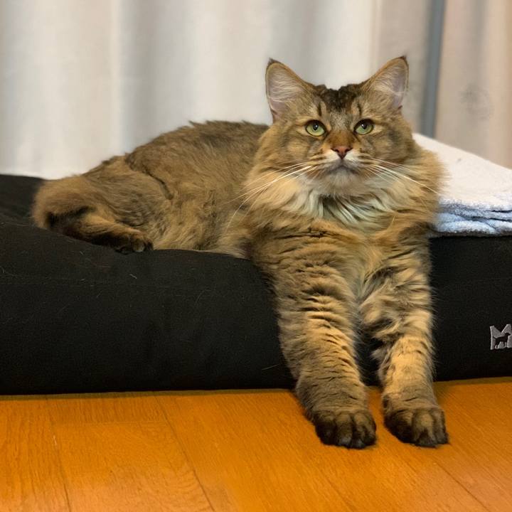 61f15b40 8e19 4051 96c5 4ef9c243f4d6 1753789992862