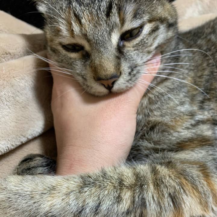 61f19178 2845 45b6 8b4a 37902c547e6a 1610801259816