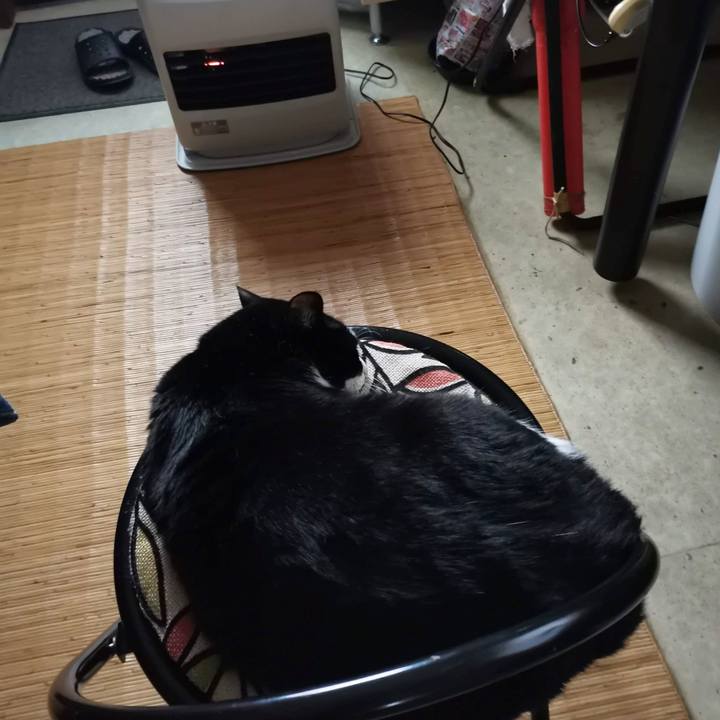 61f19d33 510e 469e 81bc 8ba26ca0f0ad 1709869129278