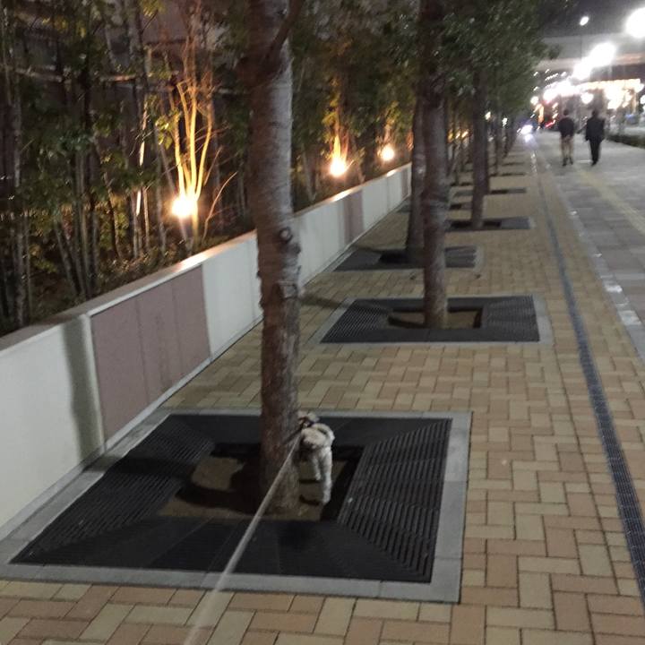 61f1b7ab e7b5 4340 a150 557aaeb99789 1547638663419