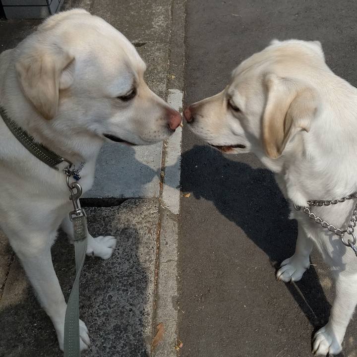 61f1dbb1 42e4 4b28 9b3a 72416beb07d3 1591403151367