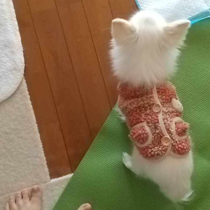 61f1efa1 4c54 4c92 868b 5f8da9177f37 1677939489645