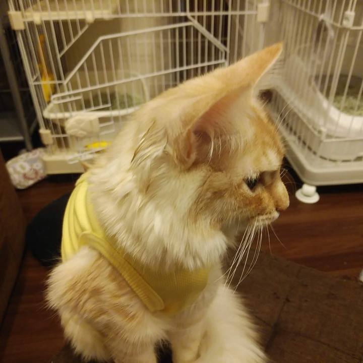 61f201dc 896a 4fed a119 bb06014c8131 1614512406208