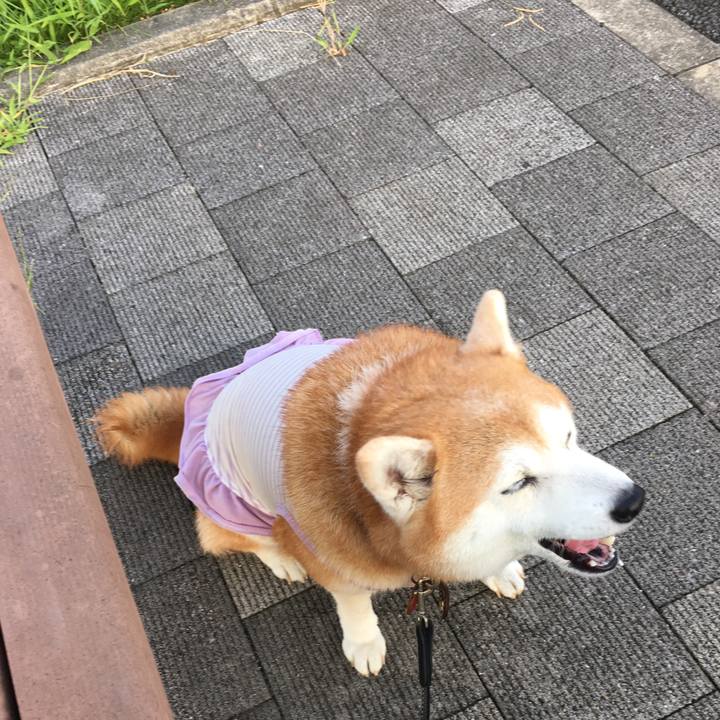 61f21387 aa88 48c5 a187 3ef79742f15e 1533127190739