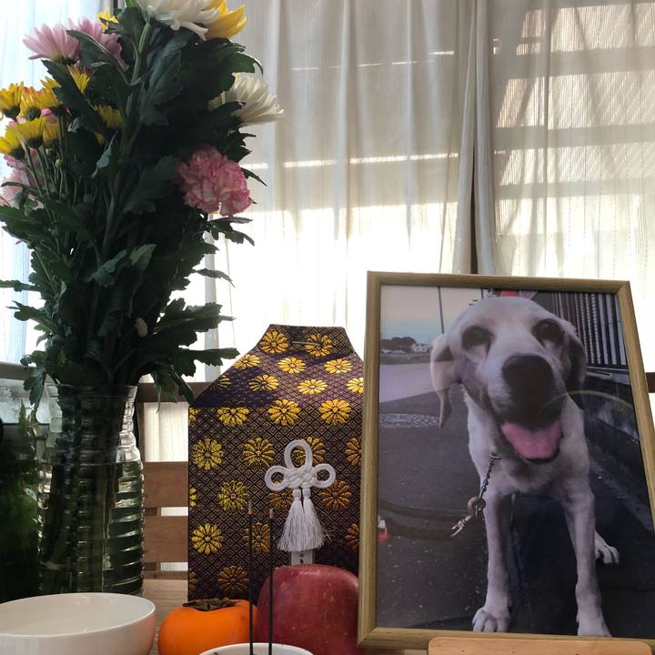 61f21f14 34bc 4d97 9374 b2a9cfd7070e 1509697044281