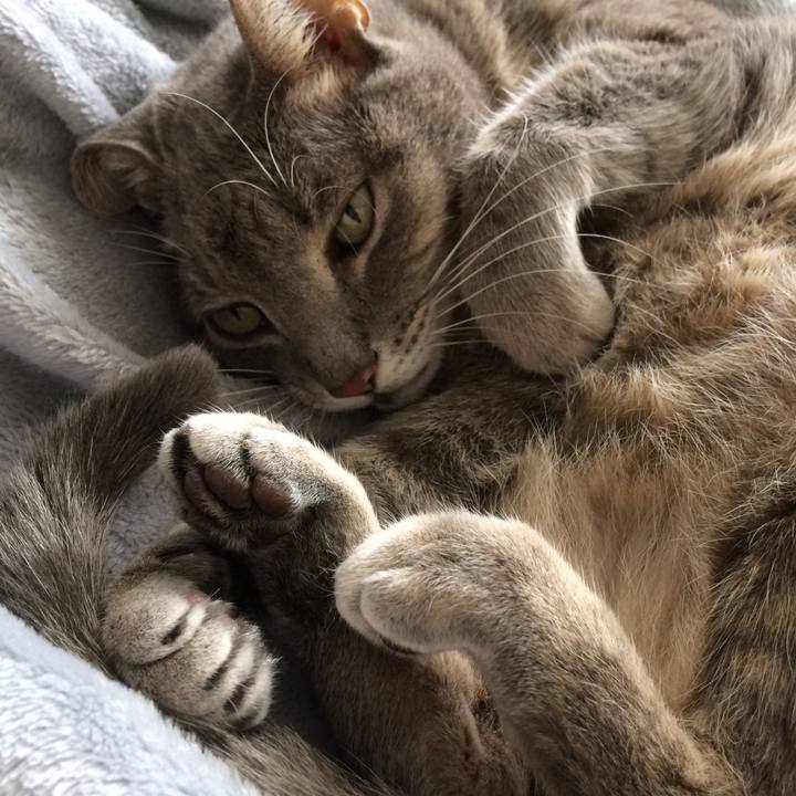 61f228a8 527e 4a87 a372 efc2f23eff28 1532800028158