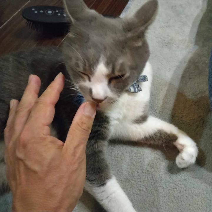 61f22f16 6542 4a44 b0fa 625ca70e8a71 1690206946612