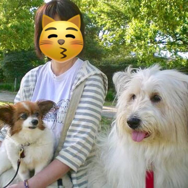 61f23316 df0e 4a5a 825e 28eb8c3e63b8 1560671773195