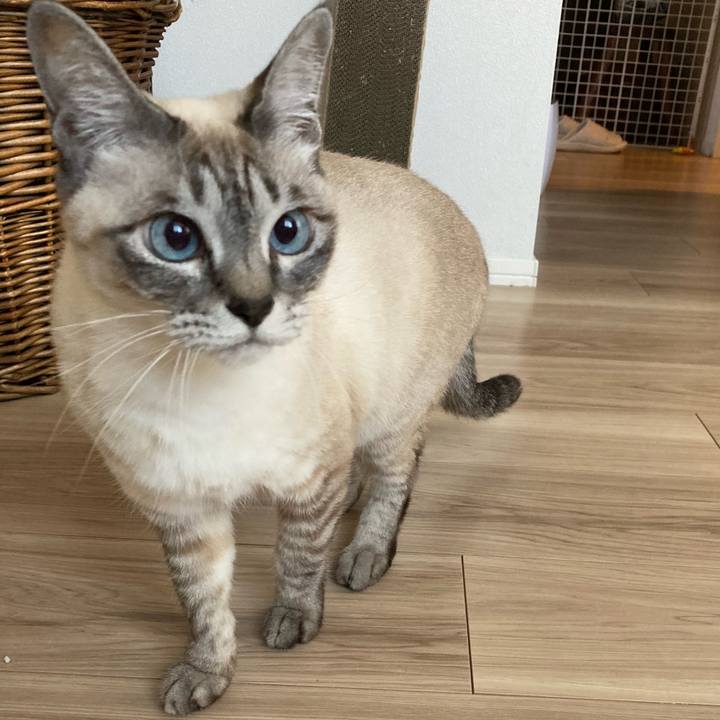 61f24a30 cf11 4d5b 9d6f e438426f3bc0 1705988401678