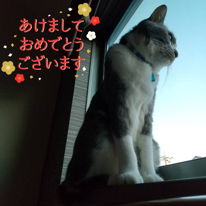 61f27dc8 52f6 4c2b bb6d eeda2d587dd5 1641000019146