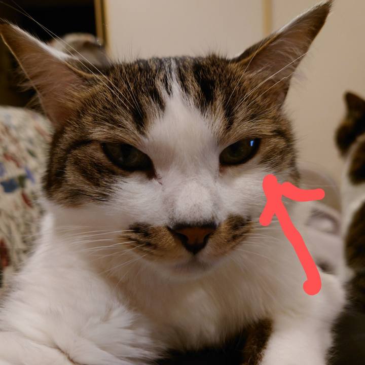 61f2bef4 4062 435b 8fd9 45c949a8fe9c 1738799944865