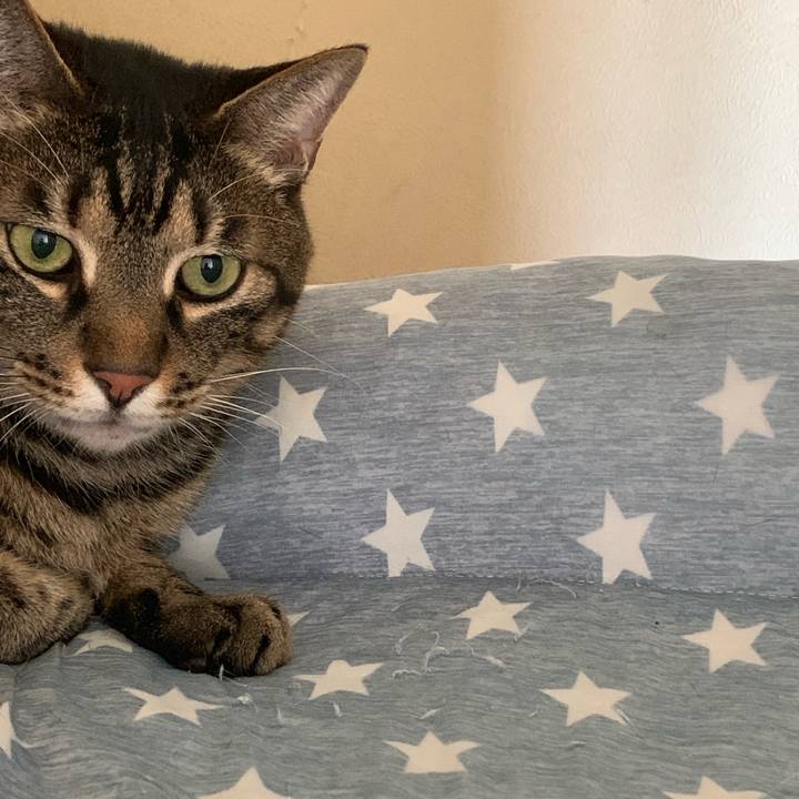 61f2d66a 8bea 45ce aa87 e98dd0f5604d 1560674194918