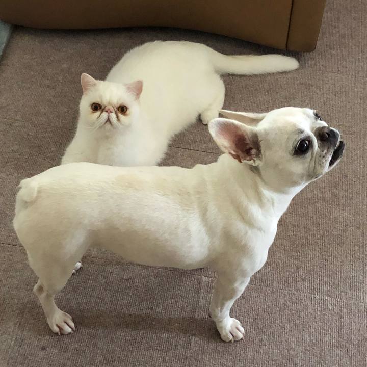 61f2e4c5 3f98 4b29 966d e49606bab710 1628811408656