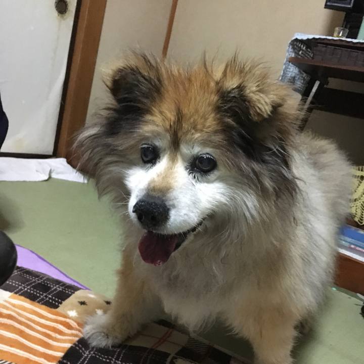 61f2f2f2 878d 4682 9ca6 245464d85ed1 1583861374501