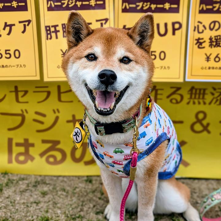 61f323b7 8277 4f26 a520 25ba32a77138 1745407702760