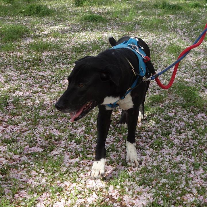 61f32b02 958e 4592 a817 c3039df7e931 1617497926158