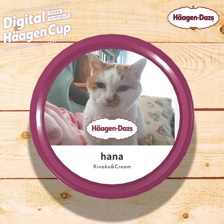 61f37998 bdc0 45e9 b9ea 145f254a7095 1607812358996