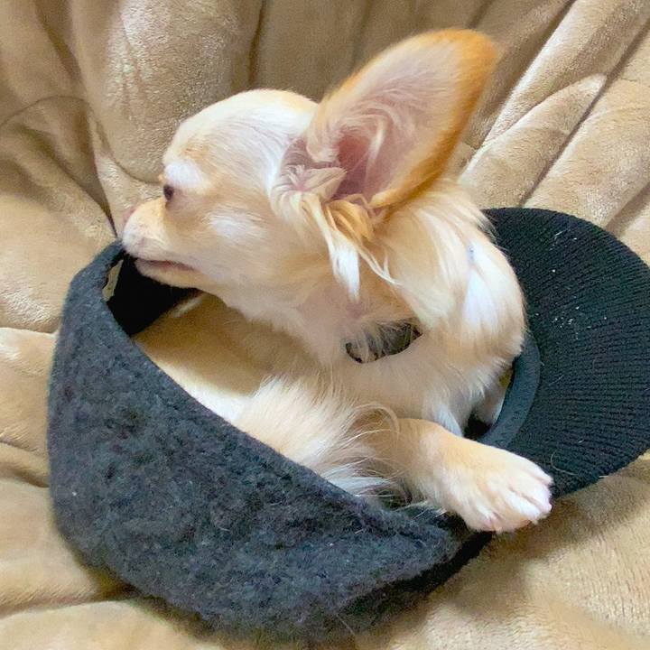 61f3ad5b 207d 453a af74 159e97d80a71 1613602450993